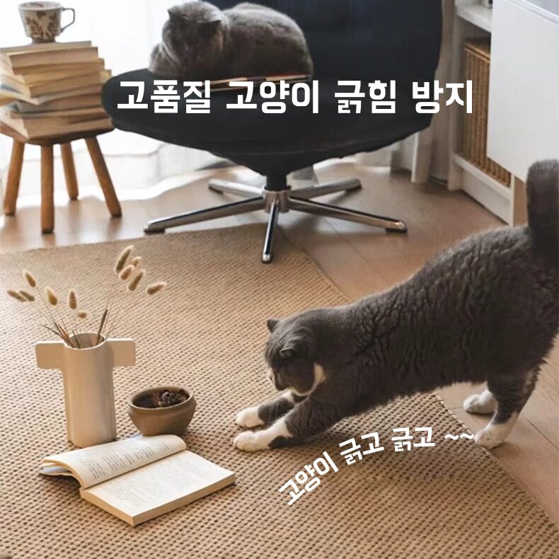물세탁 거실 카페트 방수 카페트 파스텔 사계절 소프트 러그 검은색 분말 낙하 없음 먼지없는할인 상세 이미지 1