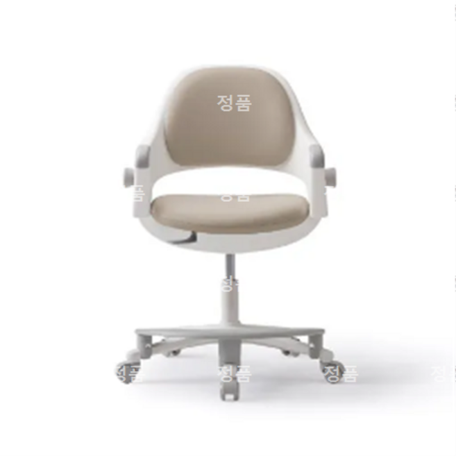 [시디즈] SN50 RINGO 링고 고정형 학생용의자+발받침 (VSNB509ACF), A447A-그린티그린
