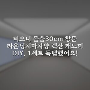 비오니 돌출30cm 창문 라운딩처마차양 렉산 캐노피 DIY, 1세트 득템했어요!