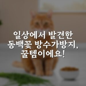 “일상에서 발견한 동백꽃 방수가방지, 꿀템이에요!”