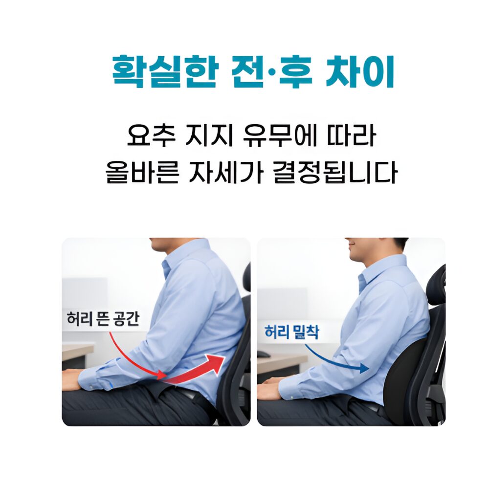 라인오브 메모리폼 허리 등받이 쿠션, 블랙(black)할인 상세 이미지 1